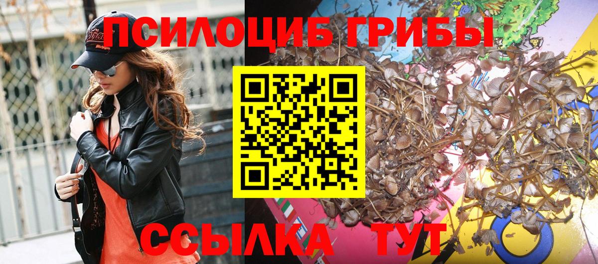 Псилоцибиновые грибы прущие грибы Алапаевск